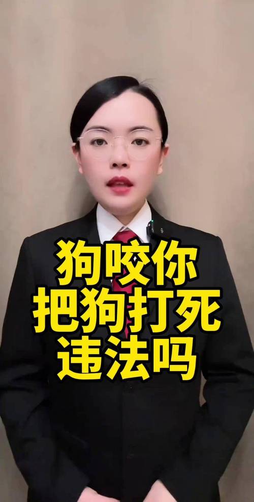 咬人狗被杀算正当防卫？看法律咋判（狗咬人打死狗狗）