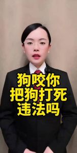 咬人狗被杀算正当防卫？看法律咋判（狗咬人打死狗狗）