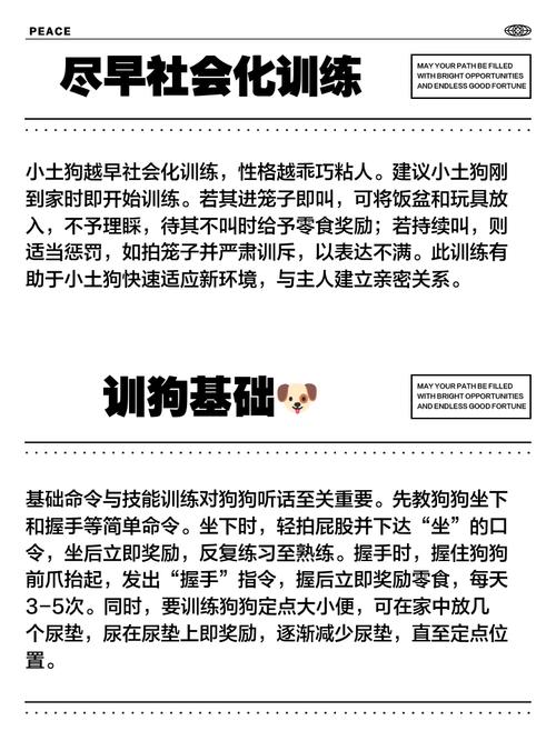 精准指令还是控制风险？（怎么训女朋友像训狗一样）