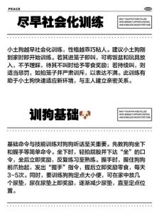 精准指令还是控制风险？（怎么训女朋友像训狗一样）