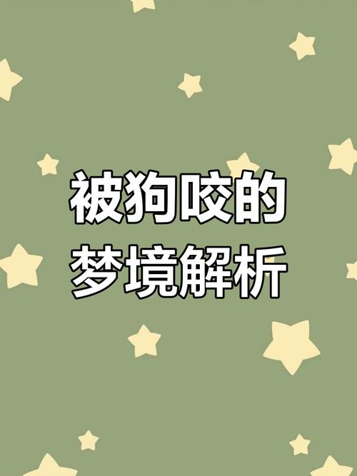 警惕不信任,反思人际关系与自我怀疑(做梦梦见把狗打的只剩一口气了) 警惕不信任,反思人际关系与自我怀疑(做梦梦见把狗打的只剩一口气了)