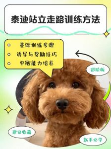 变态驯狗电影（如何把人训练成一条狗）