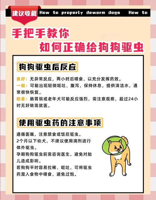 狗狗驱虫很重要，内外寄生虫要预防！（狗狗多长时间体内驱虫一次）