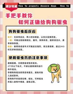 狗狗驱虫很重要，内外寄生虫要预防！（狗狗多长时间体内驱虫一次）