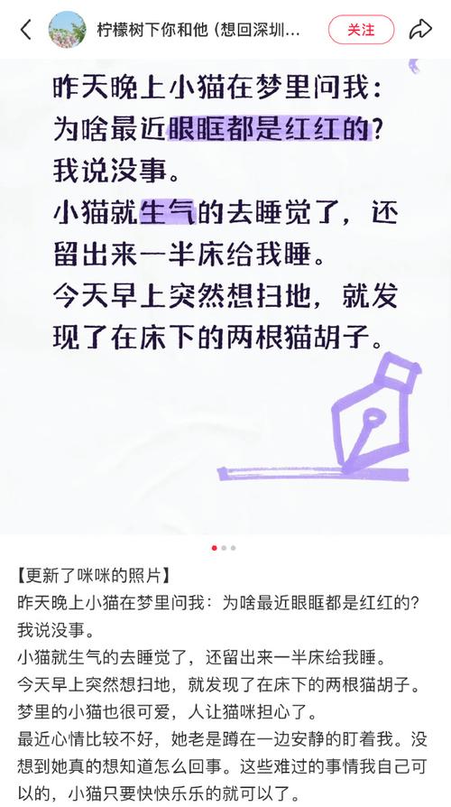 运势变化，不同人群预示不同（做梦梦到猫很乖很听话）