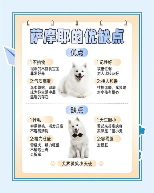 渠道月龄精神眼缘疫苗（挑选狗狗的五个要点）