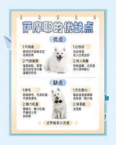 渠道月龄精神眼缘疫苗（挑选狗狗的五个要点）