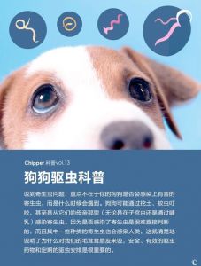 狗狗驱虫，幼犬勤，老犬户外频，内外兼驱遵医嘱（狗狗什么时候驱虫）