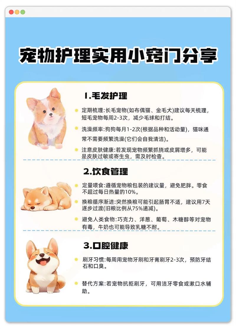 科学方法与爱心并重（主人怎么管教宠物）