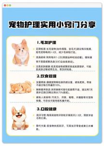 科学方法与爱心并重（主人怎么管教宠物）