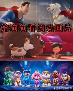 蓝色动画培养勇气社交与探索欲（狗狗看的动画片）