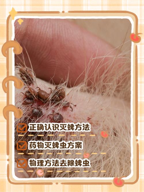 狗狗驱虫，看这里就够！（成年狗狗多久驱一次虫）