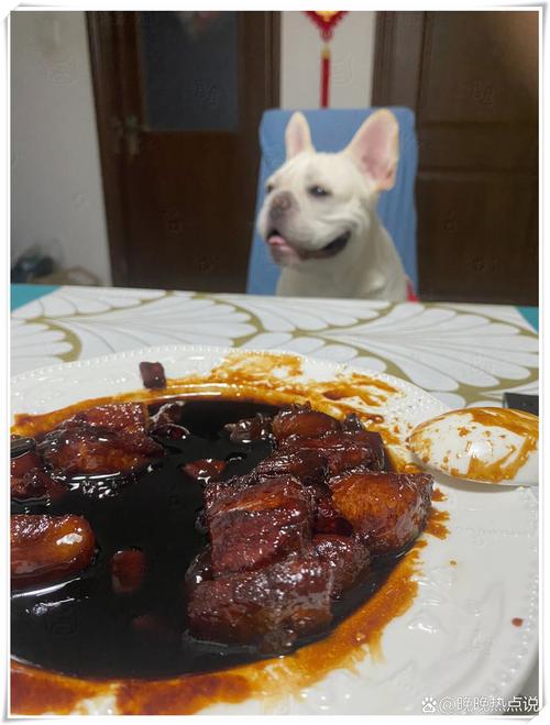 我家狗饿就乱叫，一喂就香，太懂它了！（我要一段狗狗要吃饭的叫声）