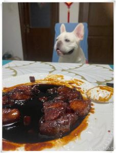 我家狗饿就乱叫，一喂就香，太懂它了！（我要一段狗狗要吃饭的叫声）