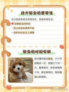 幼犬1个月龄开始驱虫，选对药按体重算，环境消毒很重要！（一个月的小狗可以驱虫吗）