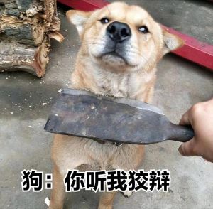 打狗怕的不是记恨，是怕条件反射（狗狗经常挨打会不会记恨主人）
