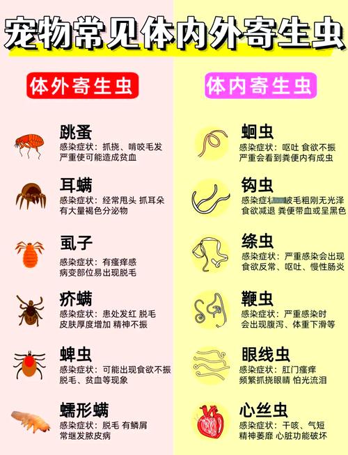 狗狗内外驱虫，健康重要！（狗狗什么情况要体内外驱虫）