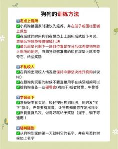 8个月前学指令，养成好习惯（狗狗多大可以开始训练）