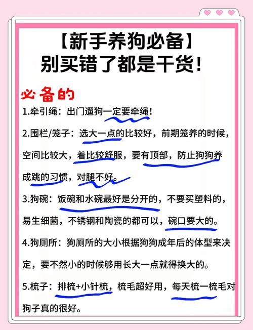 办证智能营销成本应急（要当洗狗的需要什么）