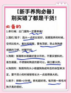 办证智能营销成本应急（要当洗狗的需要什么）