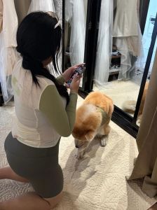 选狗狗看性格！比熊黏人泰迪聪明，选它适合你？（美女宠物狗的秘密）