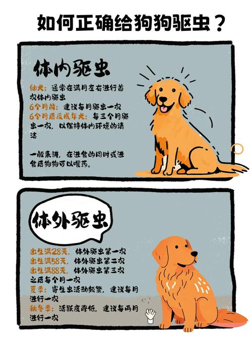 狗狗驱虫要分年龄环境调整，定期科学驱虫很重要（狗狗几个月驱一次虫最好）