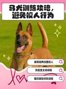 满足情感需求，警惕操控风险（训狗模式为什么对女生有效）