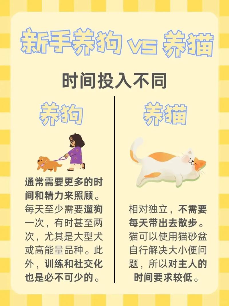 懂宠物心理，简单正向奖励，训好猫狗超有效（如何训练猫和狗更听话）