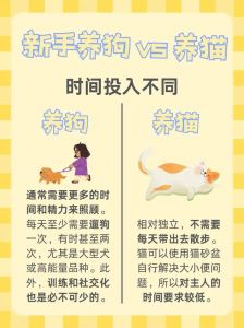 懂宠物心理，简单正向奖励，训好猫狗超有效（如何训练猫和狗更听话）