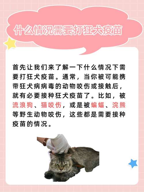 狗狗打完疫苗后要注意啥？（狗狗打完狂犬疫苗后注意事项）