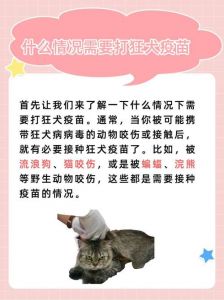 狗狗打完疫苗后要注意啥？（狗狗打完狂犬疫苗后注意事项）