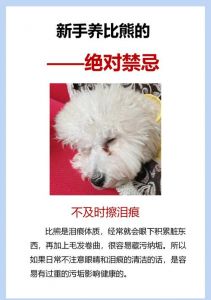 警惕！养两只狗的十大忌讳（养两只狗的十大忌讳）