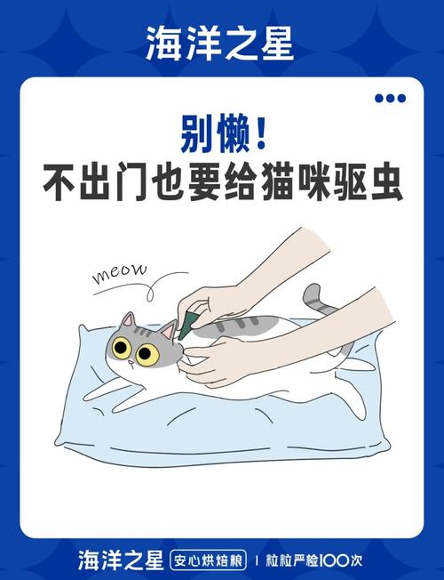 幼猫科学驱虫，选对药看年龄体重（幼猫体外驱虫注意事项）
