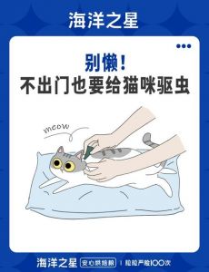 幼猫科学驱虫，选对药看年龄体重（幼猫体外驱虫注意事项）