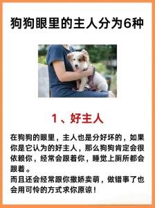 学来的亲密语言（小狗狗应该叫主人什么）