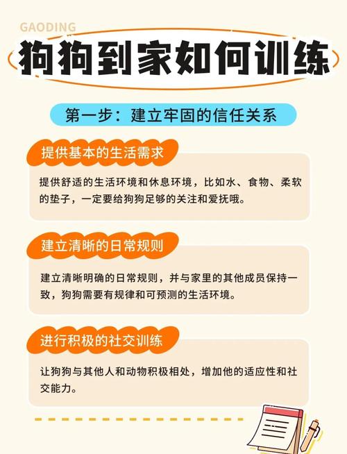 零食表扬为主，耐心引导效果好（怎么训小狗听话）