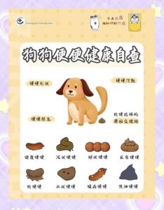 选犬种要考虑排泄习惯，幼犬科学训练，健康排泄很重要（挑选小狗排泄控制）