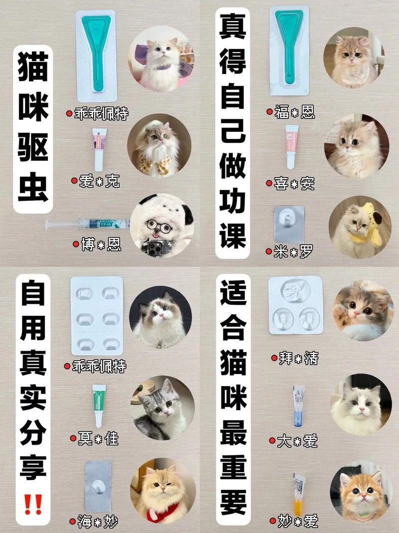 毛发黑点呕吐节片，幼猫每月驱虫（怎么辨认猫咪要驱虫了）