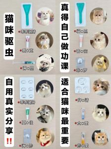 毛发黑点呕吐节片，幼猫每月驱虫（怎么辨认猫咪要驱虫了）