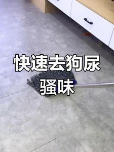 用酶清洁加训练（院子里狗尿味如何消除）