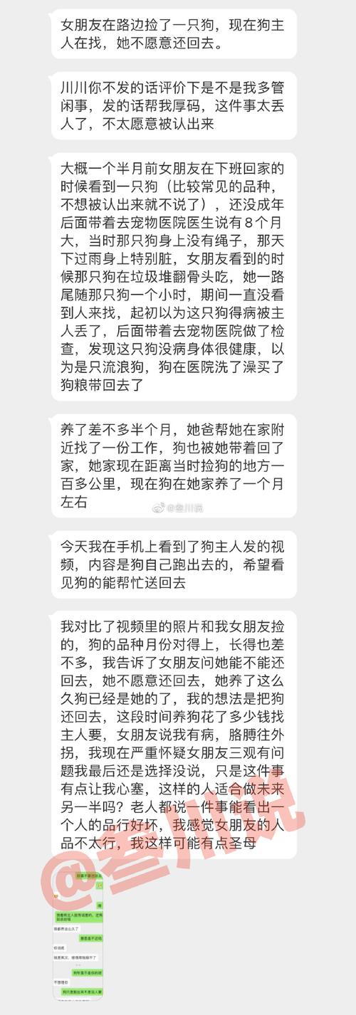 狗狗懂你情绪，用心交流真聪明（狗狗和主人的聊天记录）