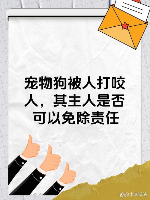暴力惩罚伤狗狗心，温柔才能修信任（狗狗被打后记恨主人）
