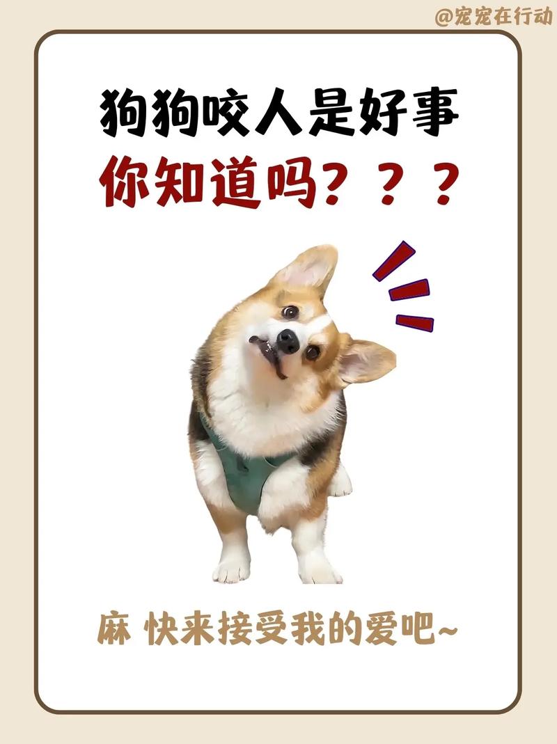 爱与忠诚的守护（狗为什么打死都不咬主人）