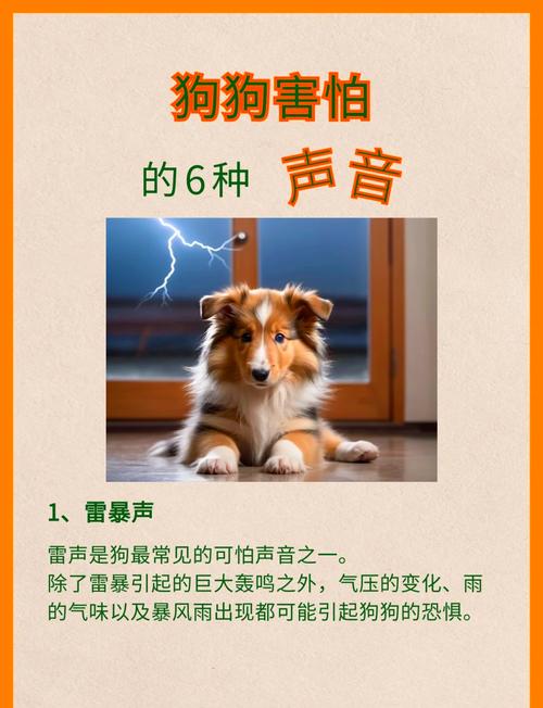 狗狗怕噪音，主人别责骂要安抚（给我发一段狗的叫声让狗害怕）