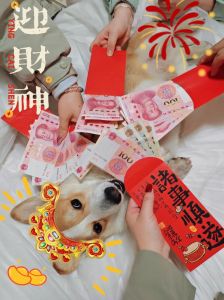 富豪买女性如宠物，PUA控制女友，是人性扭曲与道德沦丧！（有钱人把女朋友当宠物）