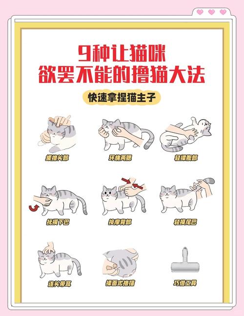 把女友当宠物是危险的控制欲（怎么把女朋友调成宠物）