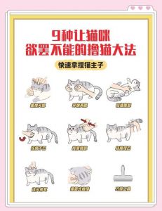 把女友当宠物是危险的控制欲（怎么把女朋友调成宠物）
