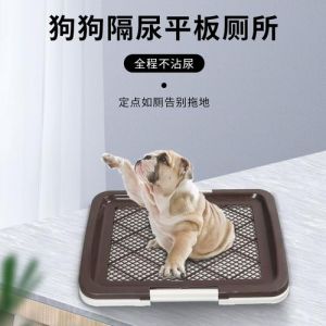 狗狗不愿站尿盆？原因与解决方法（尿盆狗狗不站上去）