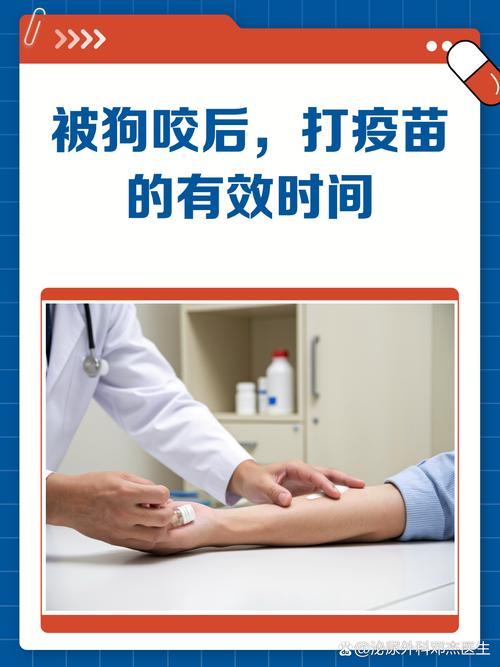 恶犬攻击如何自卫及预防（被狗攻击时怎么打狗能打伤他）