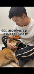 梦见挑小狗，预示新机遇与情感联结（梦到自己在挑选小狗）